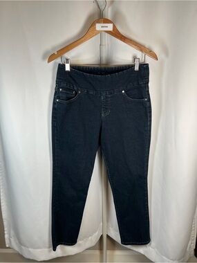 Jag Jeans High Rise Slim Ankle Dark Wash Pull On Jeans Women’s 10